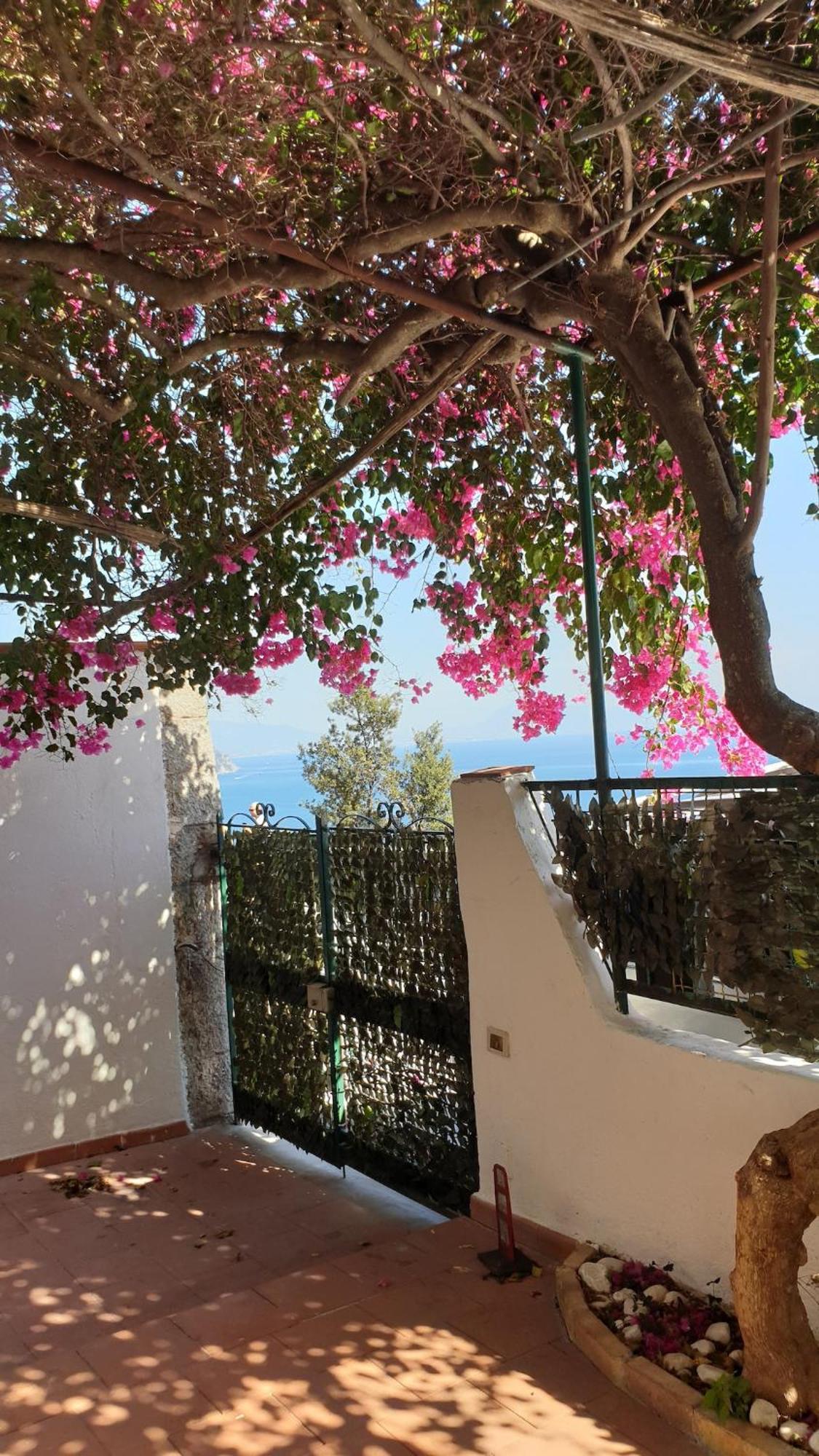 Villa Grace Amalfi Seaview 外观 照片