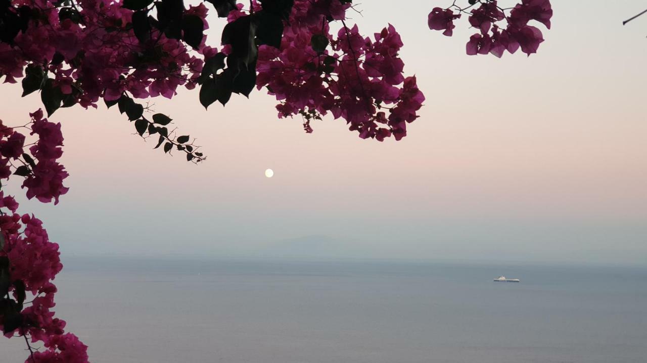 Villa Grace Amalfi Seaview 外观 照片
